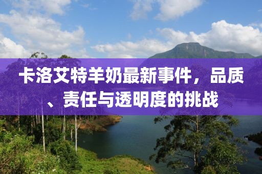 暴雨與狂風(fēng) 第18頁(yè)