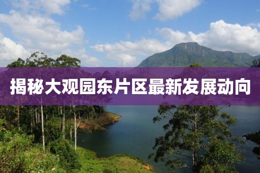 揭秘大觀園東片區(qū)最新發(fā)展動向