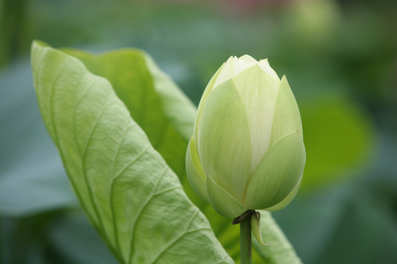 大地傳媒重組最新動(dòng)態(tài)，重塑傳媒產(chǎn)業(yè)格局取得重大進(jìn)展