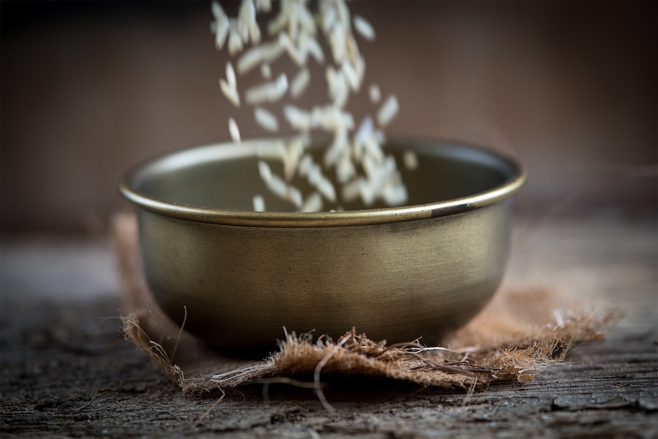 湛江御景珺庭最新動(dòng)態(tài)揭秘，城市璀璨明珠的隱藏魅力