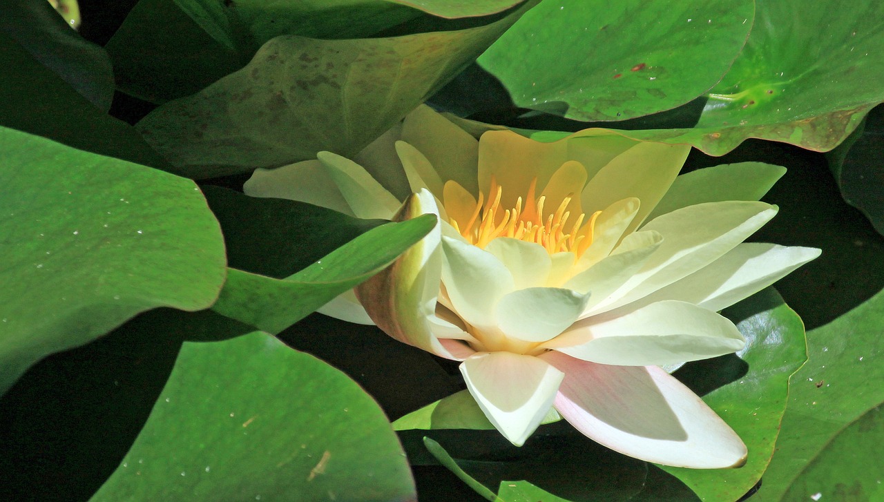 江門瓏湖灣未來繁華啟幕，最新動(dòng)態(tài)揭示未來發(fā)展新篇章