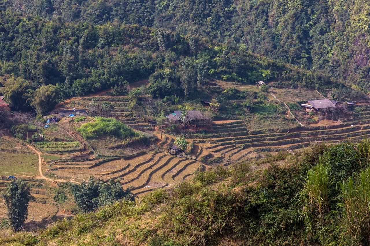 符離鎮(zhèn)最新規(guī)劃圖揭曉，展望繁榮未來，符離鎮(zhèn)2016規(guī)劃展望