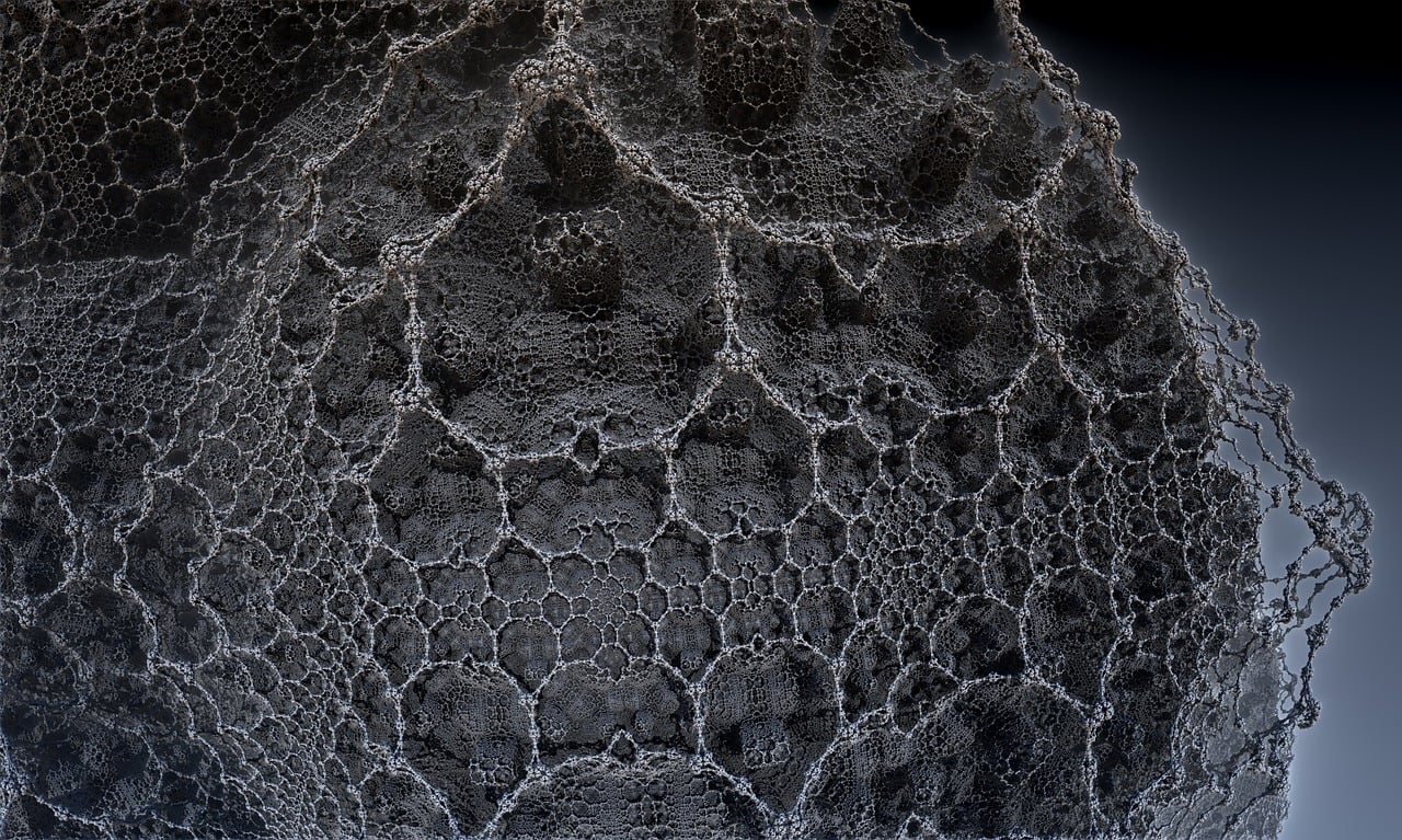 遼寧隋顯利最新動態(tài)，傳奇人物的嶄新篇章