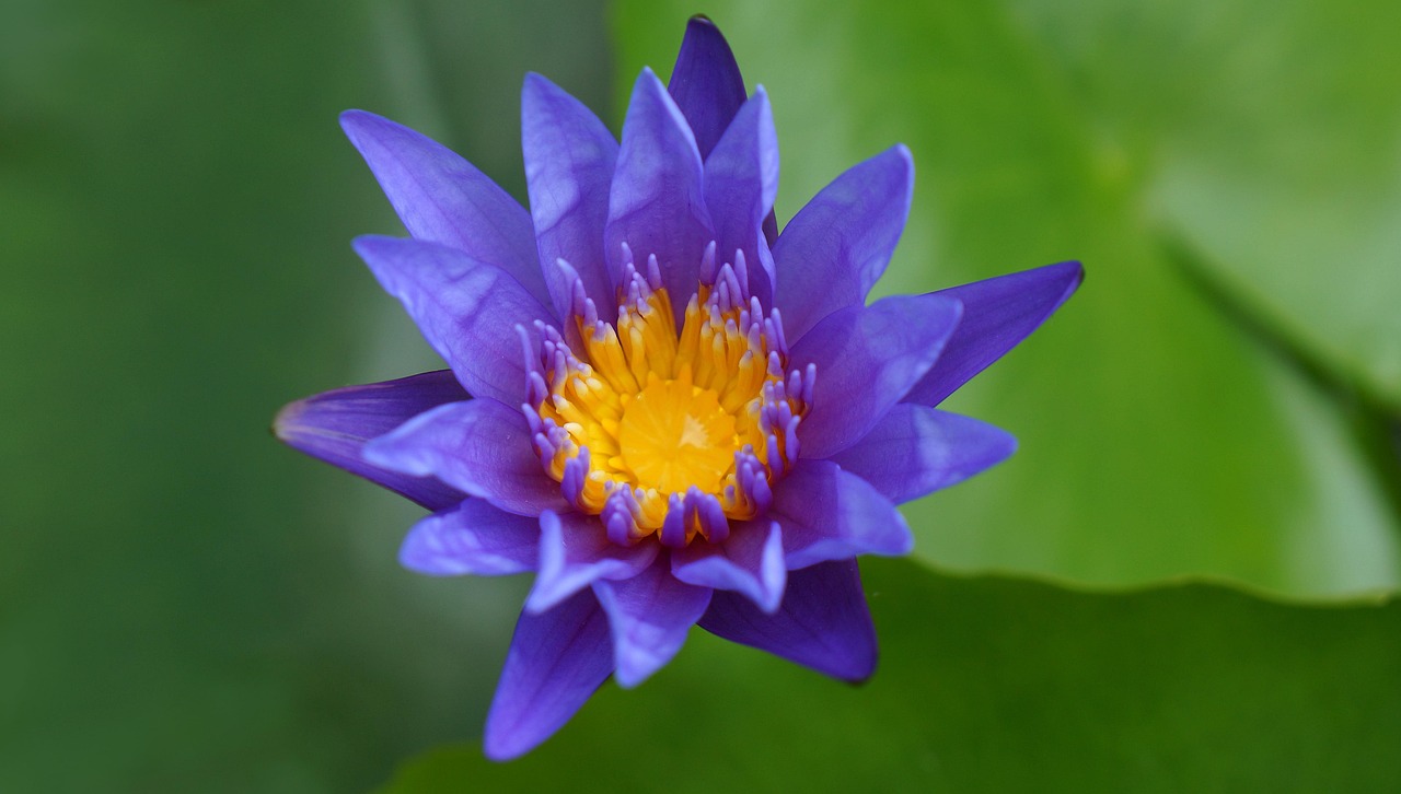 雙陽區(qū)火車站邁向現(xiàn)代化，提升服務(wù)質(zhì)量，最新動(dòng)態(tài)報(bào)告