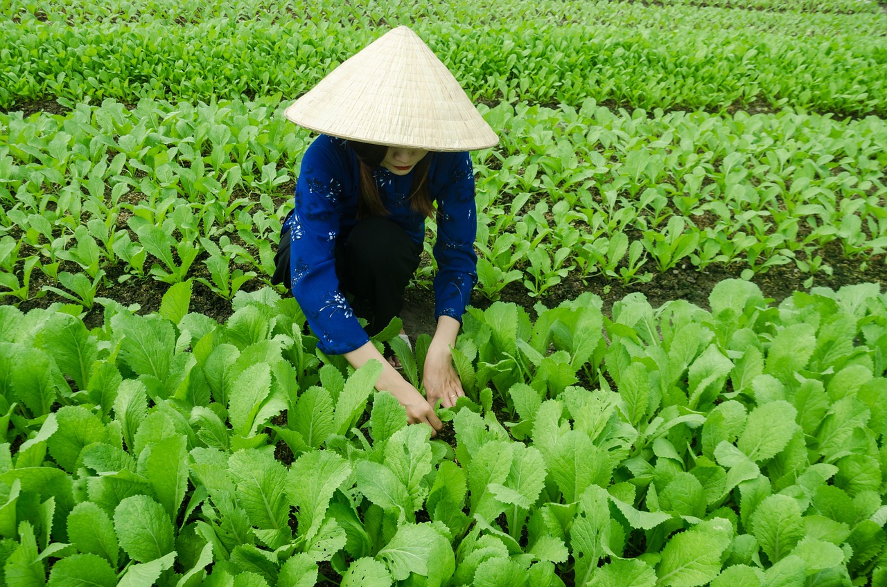 甬金鐵路最新動(dòng)態(tài)，嵊州發(fā)展與鐵路聯(lián)動(dòng)推進(jìn)