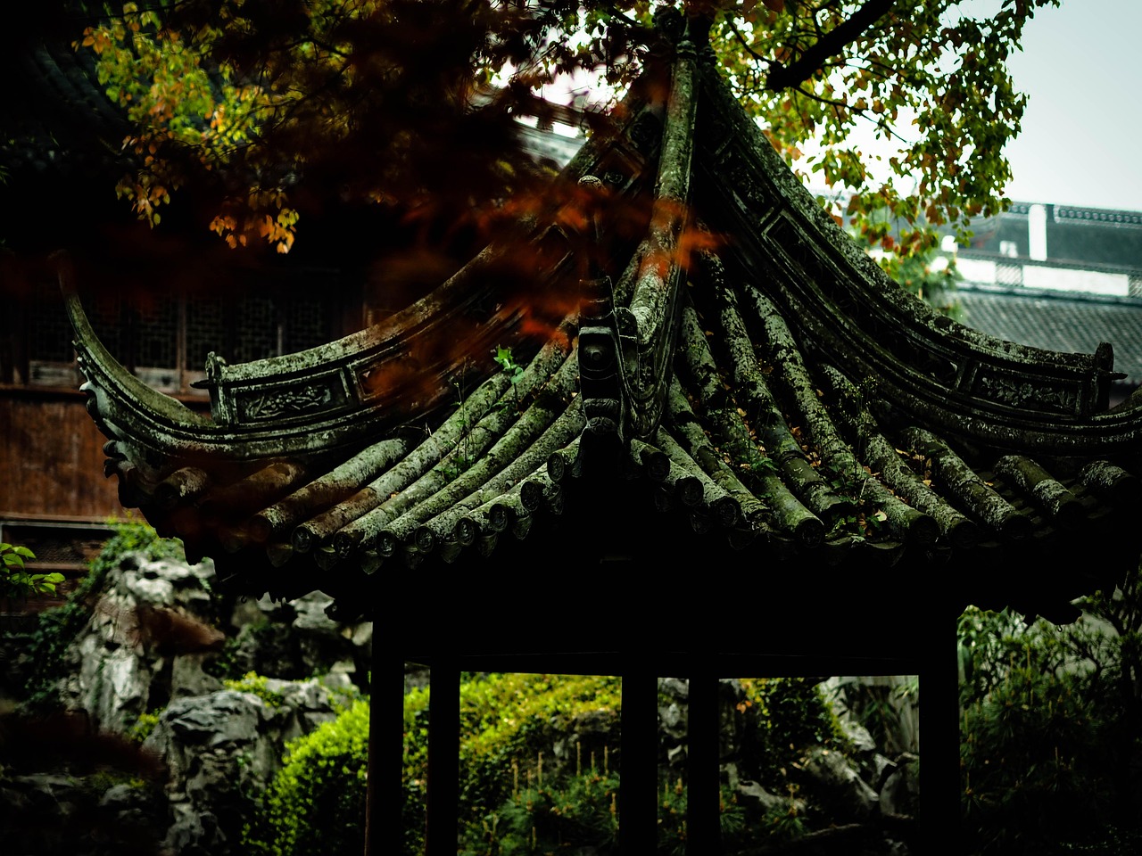 中國女排隊(duì)蓄勢待發(fā)，展現(xiàn)新篇章，最新消息與動態(tài)速遞