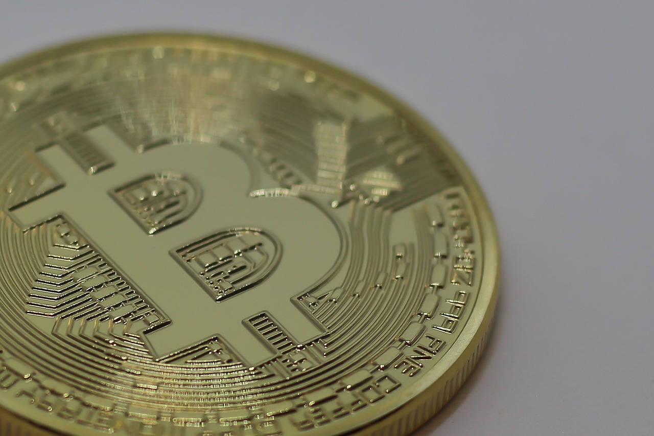 最新石金錢龜價(jià)格行情分析與趨勢預(yù)測