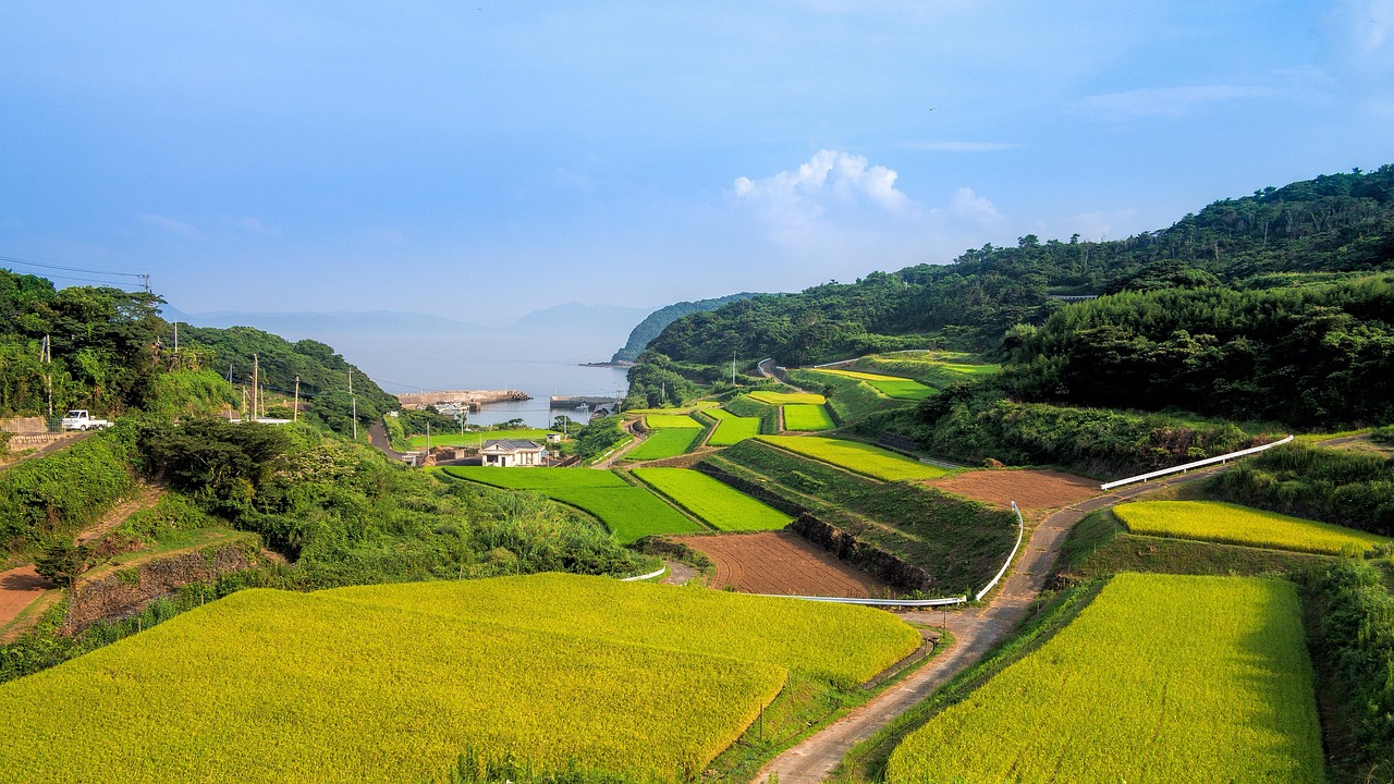 廣西靈山高速建設(shè)進展揭秘，最新消息與未來展望
