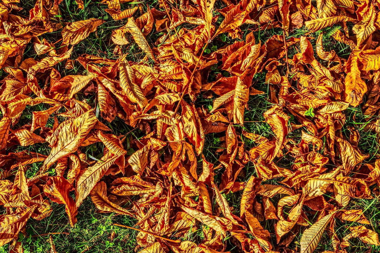 閆良招聘網(wǎng)最新招聘動態(tài)深度解析及職位推薦