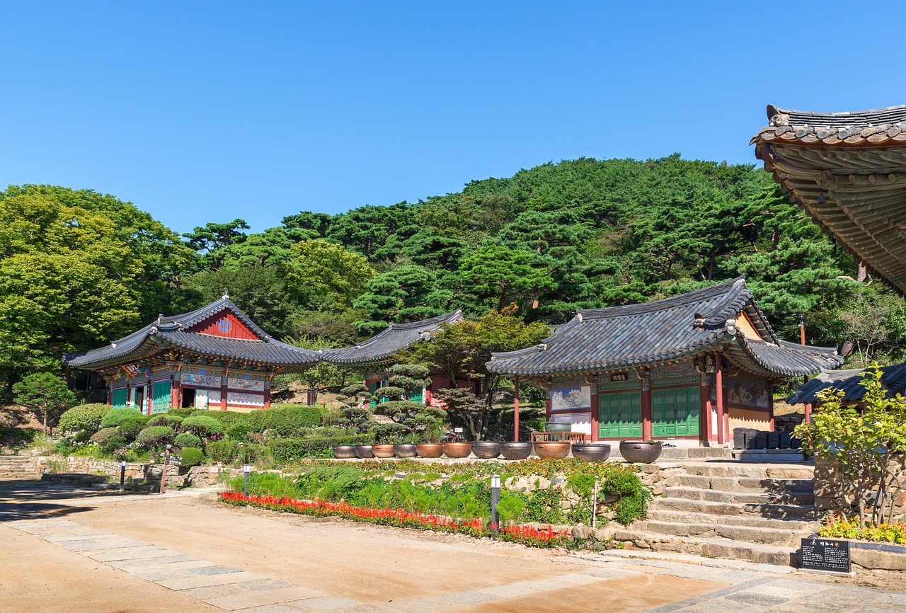 廣饒四季花城，繁榮盛景與未來期待揭秘
