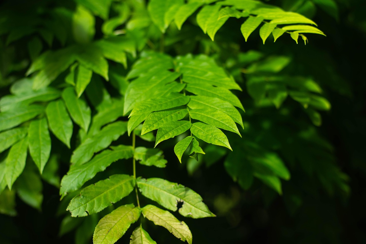 北海水印泉山最新動態(tài)，城市發(fā)展與綠色生態(tài)的和諧共鳴