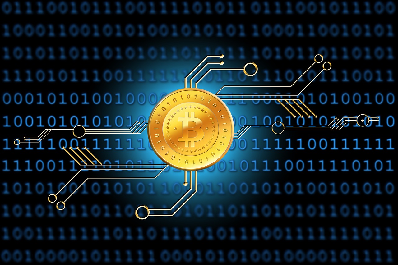 最新傳染病分類及種類概述，全面解析傳染病的世界
