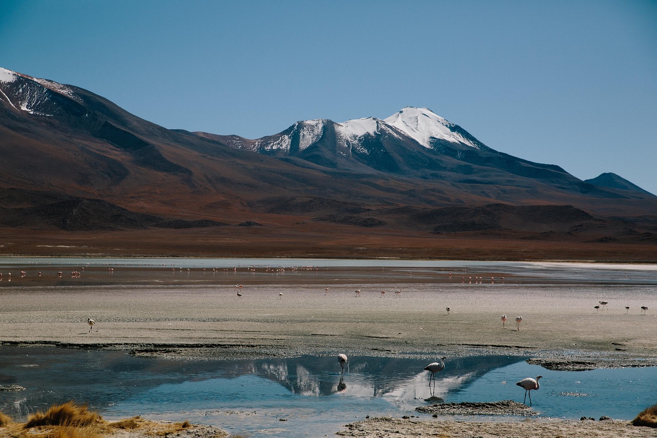 聽見涼山最新季第二集，探索與成長的旅程