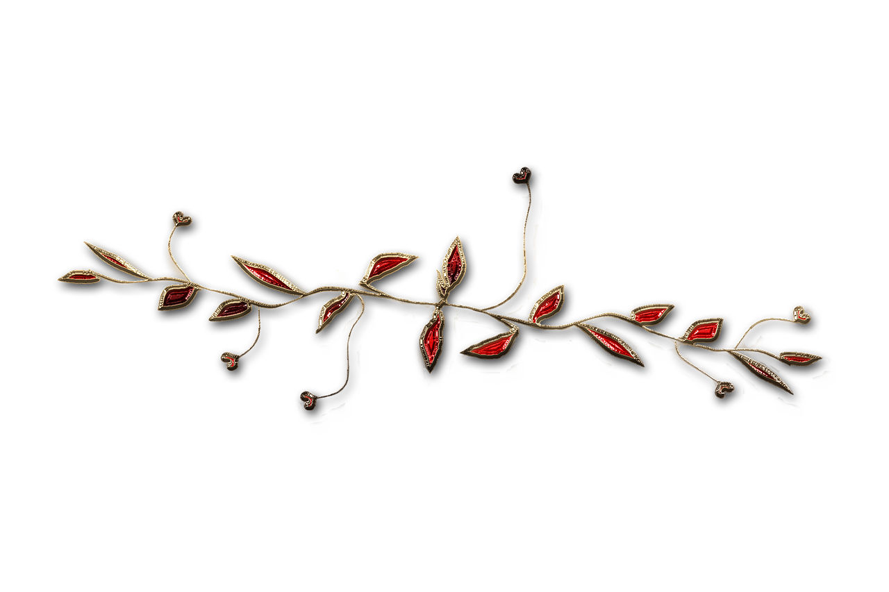廣西大紅八角產(chǎn)業(yè)蓬勃發(fā)展，前景廣闊，最新消息與動(dòng)態(tài)