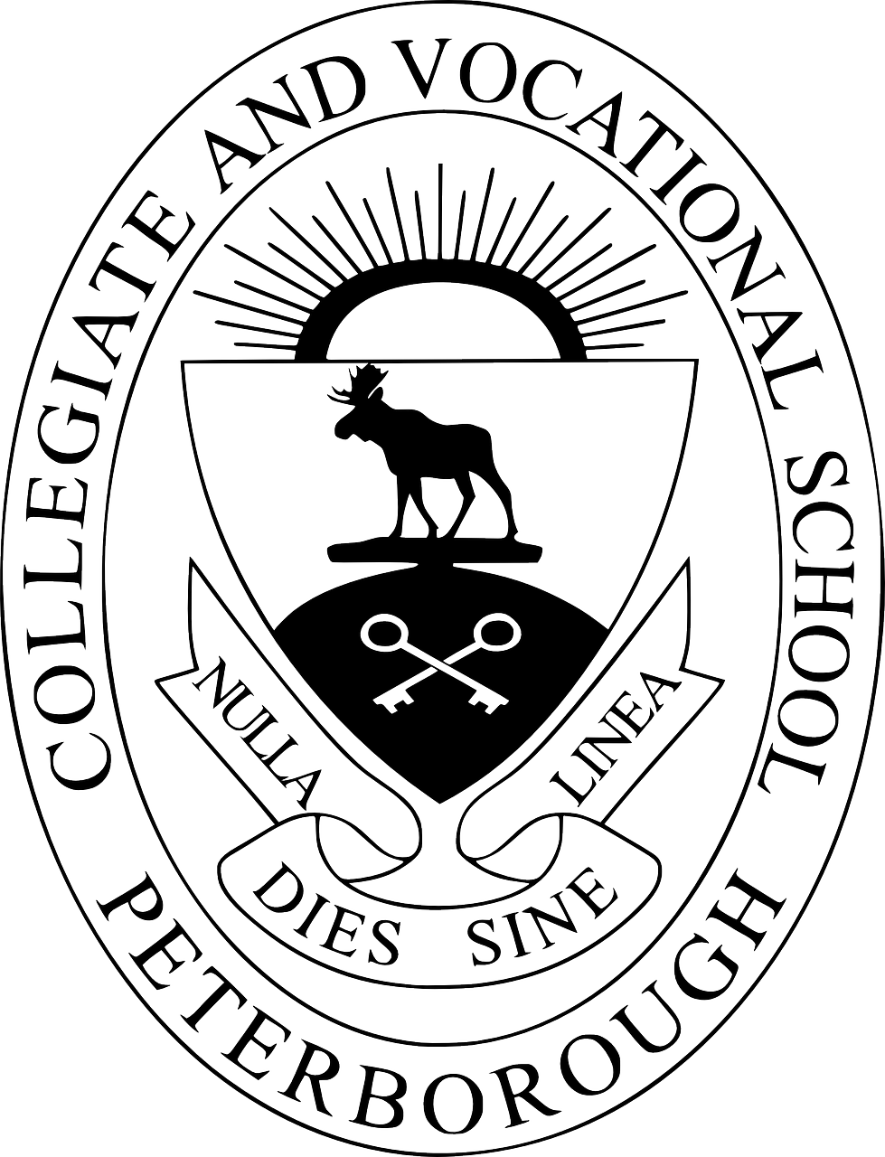 共青城大學(xué)城蓬勃發(fā)展，教育新篇章的最新消息