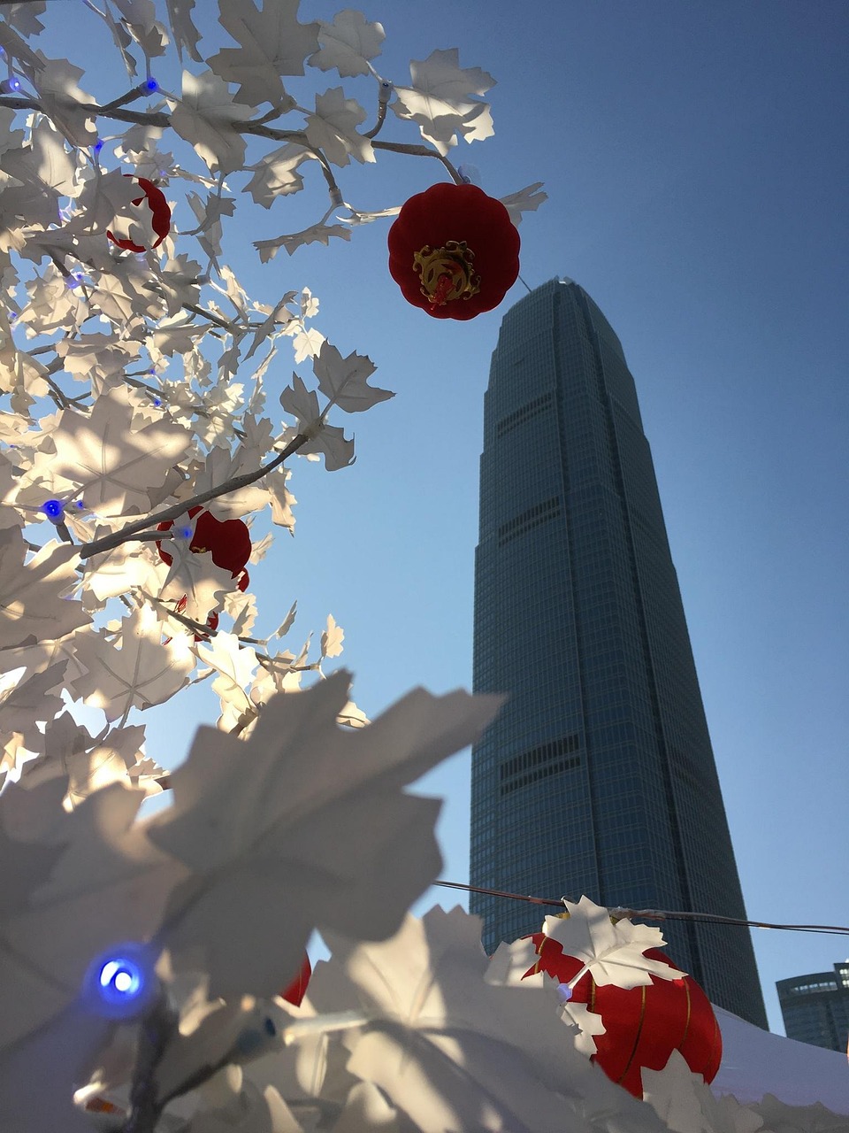 漫漫長(zhǎng)夜新版本砍樹(shù)探索，全新體驗(yàn)之旅