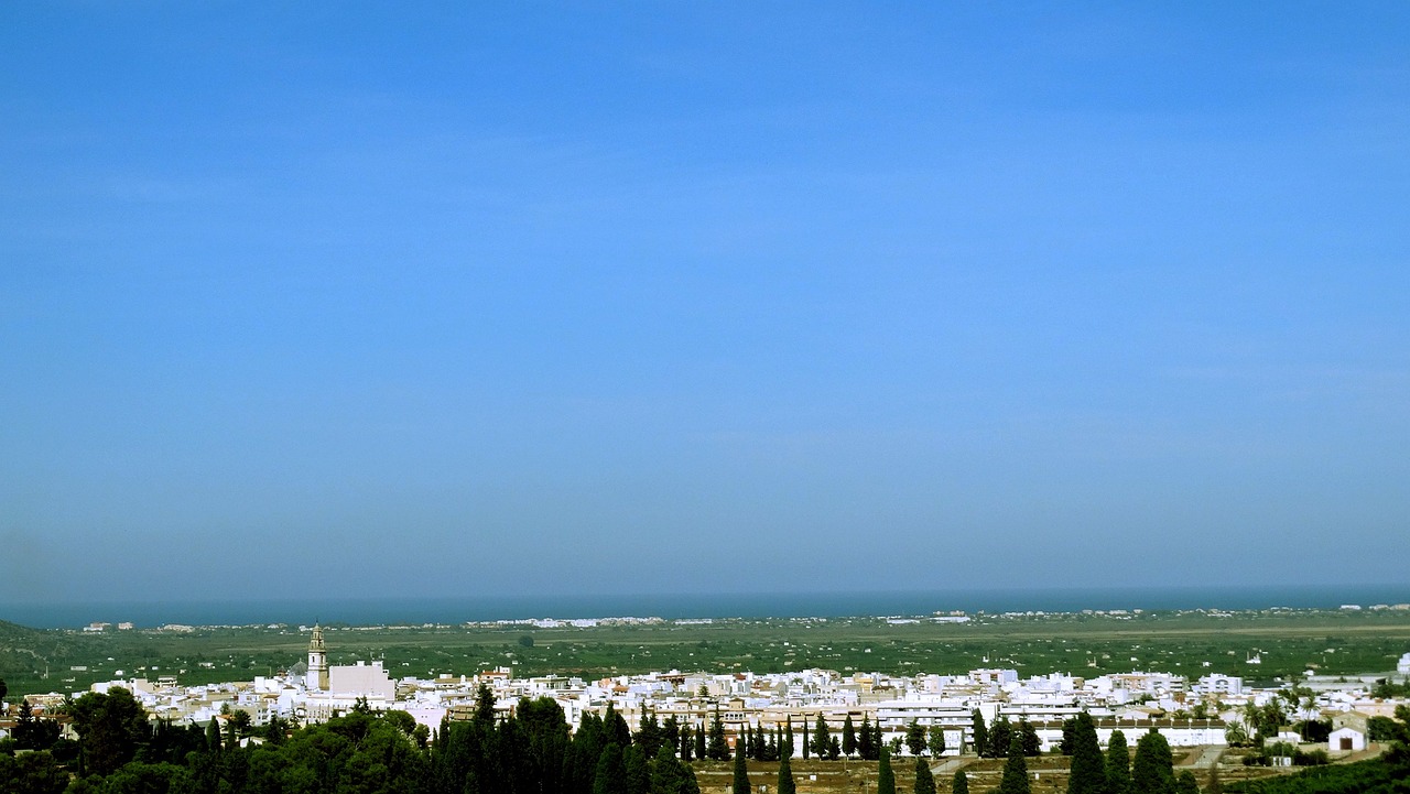 食用油漲價最新動態(tài)，原因分析與市場觀察